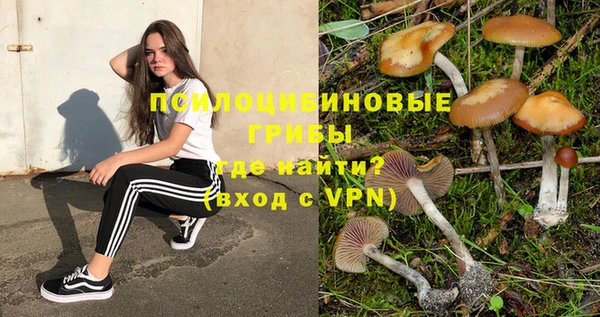 гидра Алексин