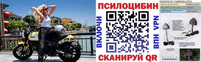 Галлюциногенные грибы прущие грибы Кашира